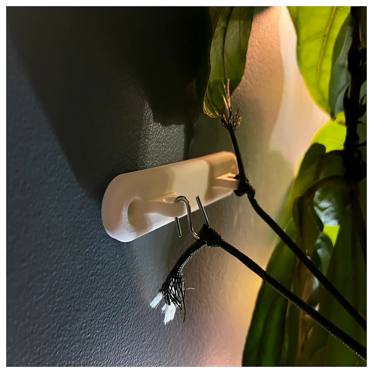vertical garden wall anchors for living planters moss frame mounting hardware indoor outdoor green wall system clips