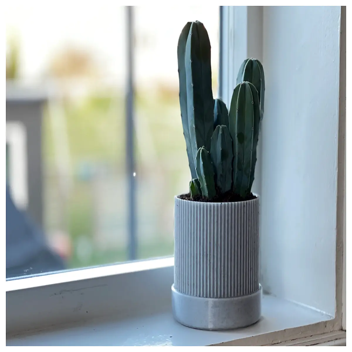 Modern Medieval Planter with Drainage Tray Classic Garden Pot for Indoor Plants Home Decor