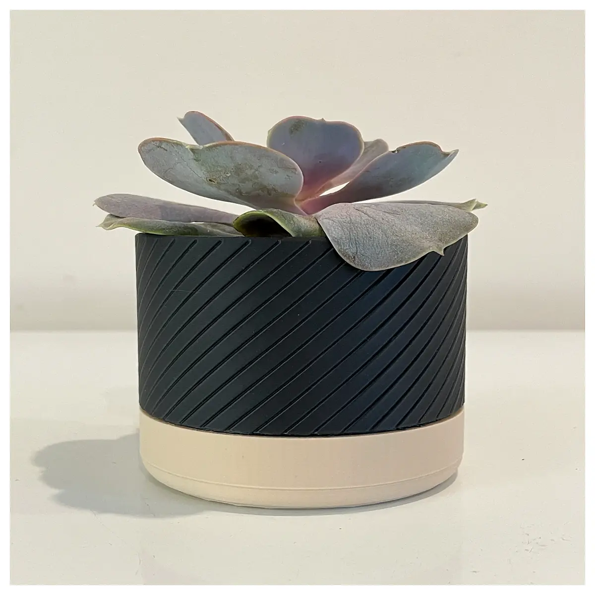 Modern Bicolor Spiral Flower Pot with Drip Tray Creative Garden Planter Automatic Watering Suitable for Indoor Outdoor Plants Pot Decor