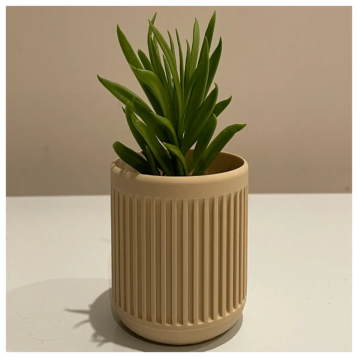 Modern Minimalist Recessed Slot Flower Pot Simple Plant Pot Indoor Garden Decoration Potted Flowers Creative Pot Slot Design