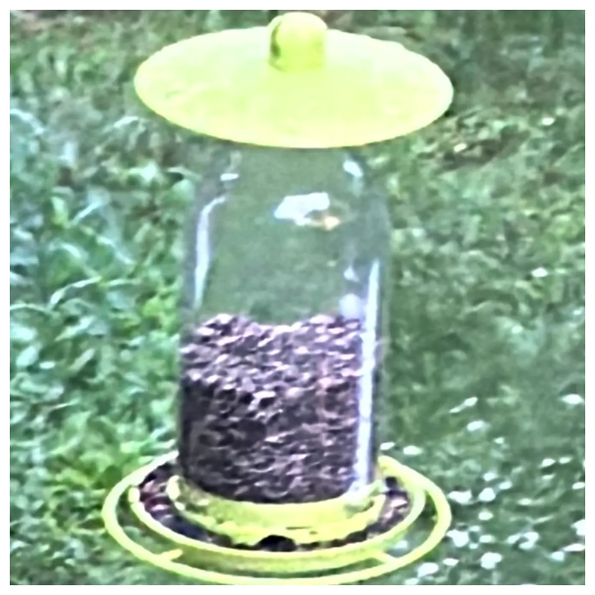 Bird Feeder Automatic Bird Feeder Bird Food Dispenser Bird Feeder Supply Automatic Feeder for Birds Bird Seed Dispenser