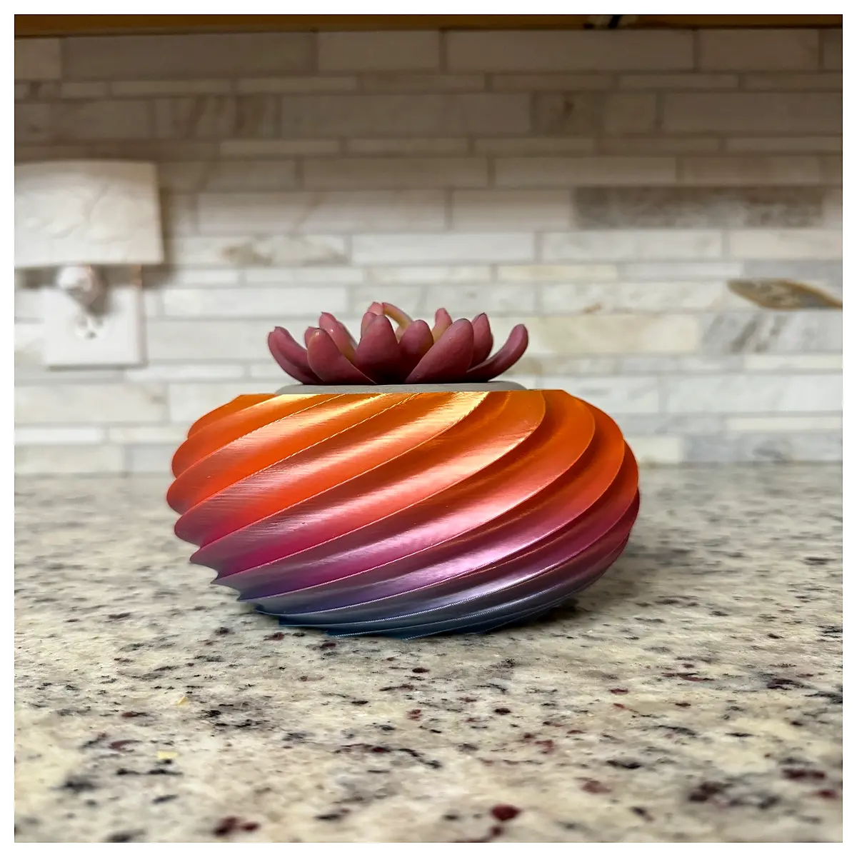 Spiral Planter Bonsai Plants Creative Flower Pots Indoor Greenery Desktop Decoration Planter Accessories Gardening Tools