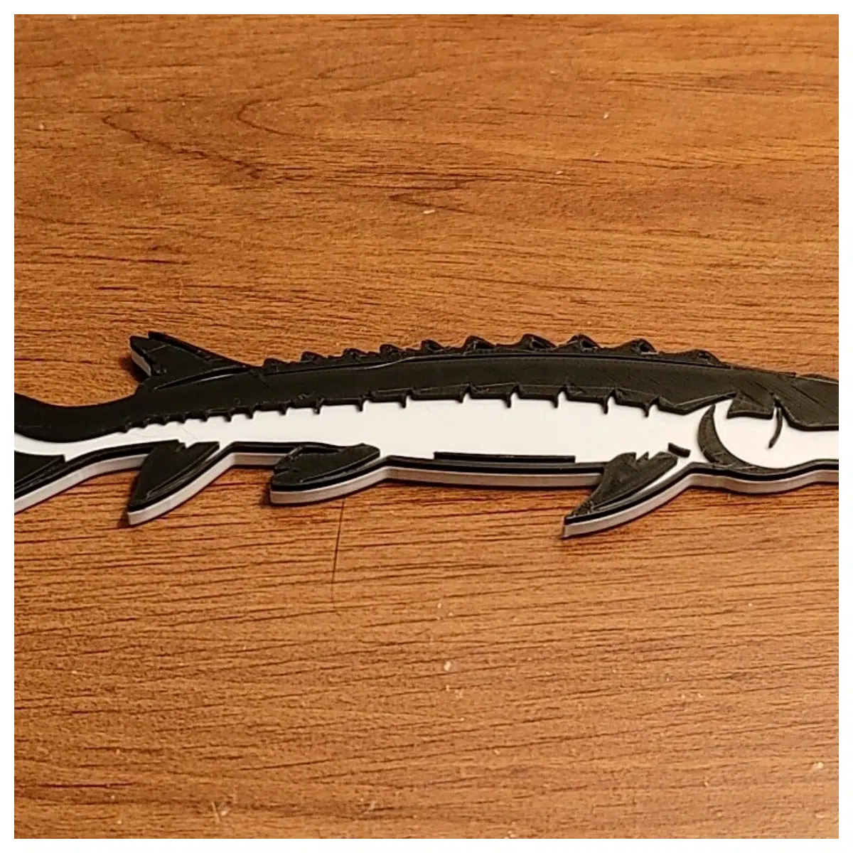 Sturgeon Slices Fish Sushi Feast Ingredients Premium Sturgeon Restaurant Supply Sturgeon Jerky Canned Sturgeon
