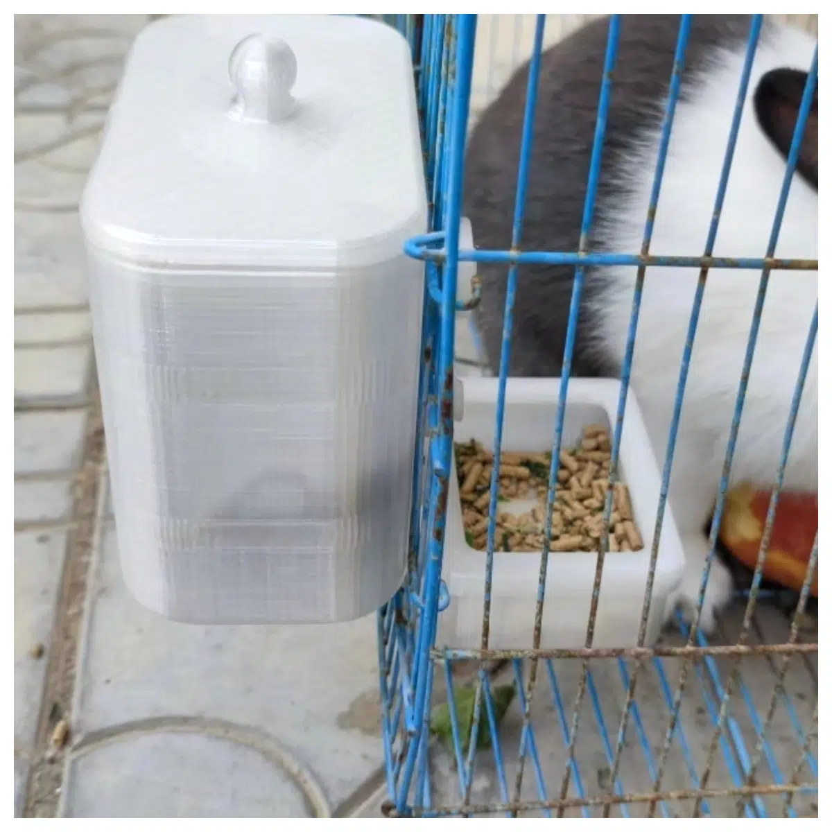 Small Animal Feeder Automatic Pet Feeder Bird Feeder Puppy Feeding System Smart Feeder Timer Dispenser