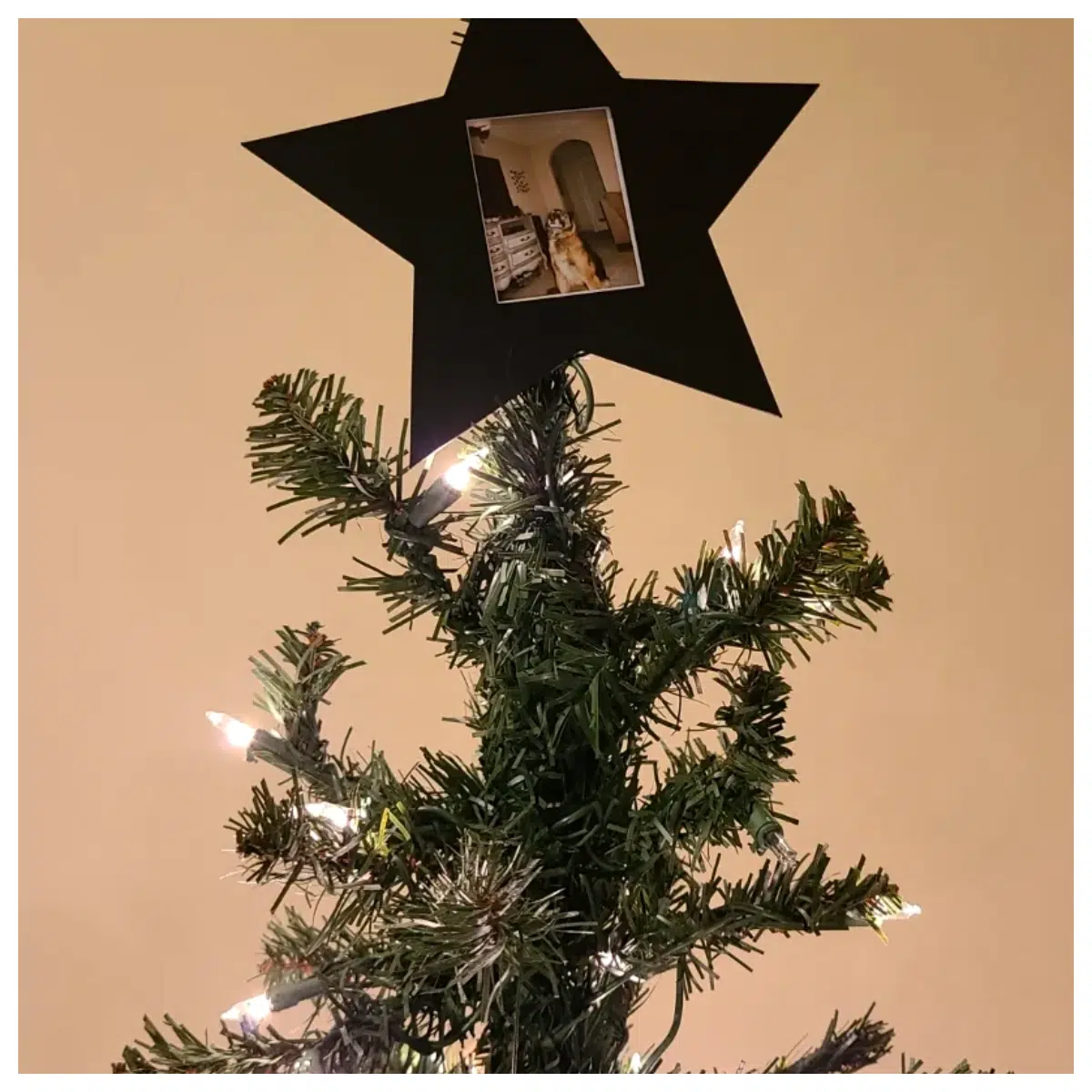 Star Christmas Tree Cone Camera Decoration Festive Gift Photo Accessory Instant Share New Year Decor