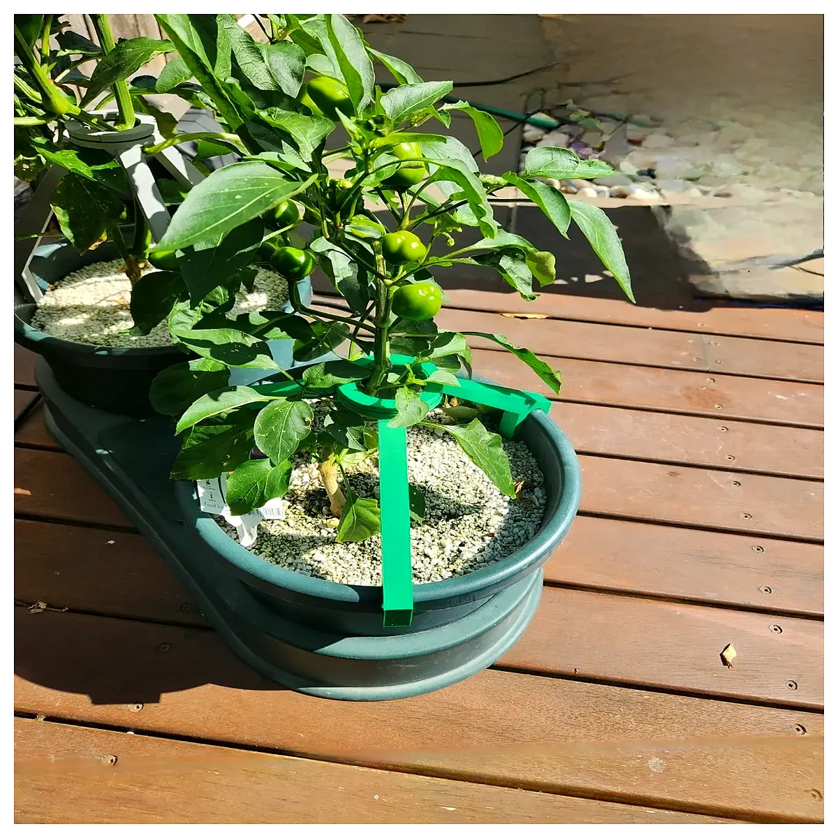 10 Inch Automatic Self Watering Planter Stand Plant Support System Indoor Garden Supplies Pot Accessories Smart Greenery