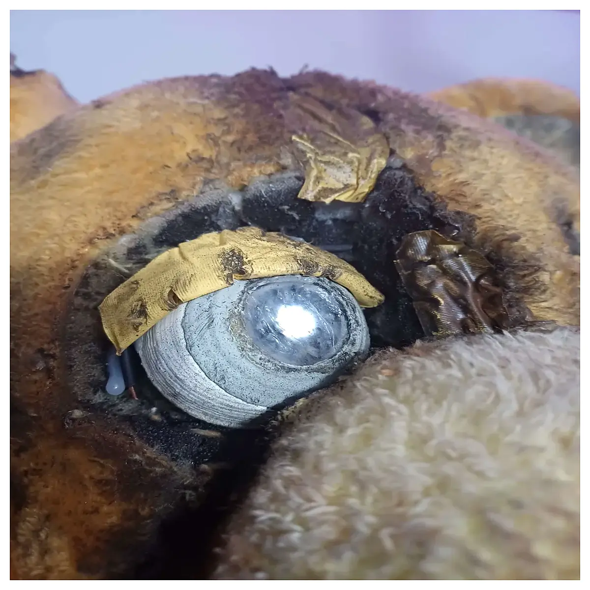 Yellow Rabbit Eyes Replacement Pet Toy Eyeballs Realistic Rabbit Eyes Toy Eye Replacement Rabbit Model Accessories