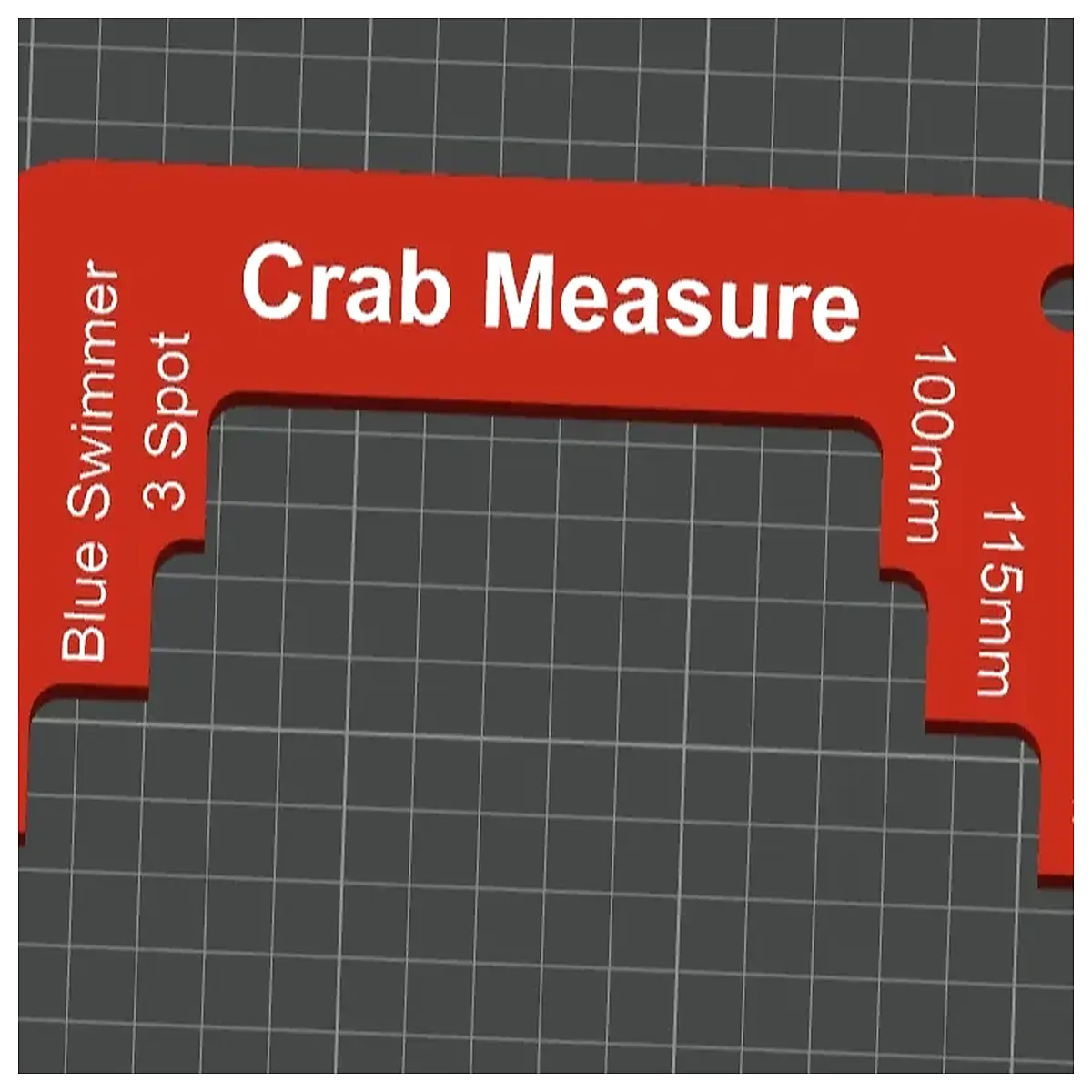 Australian Queensland Crab Measurers Crab Claws Ruler Crab Measuring Tool Kitchen Cooking Ruler Essential for Crab Lovers