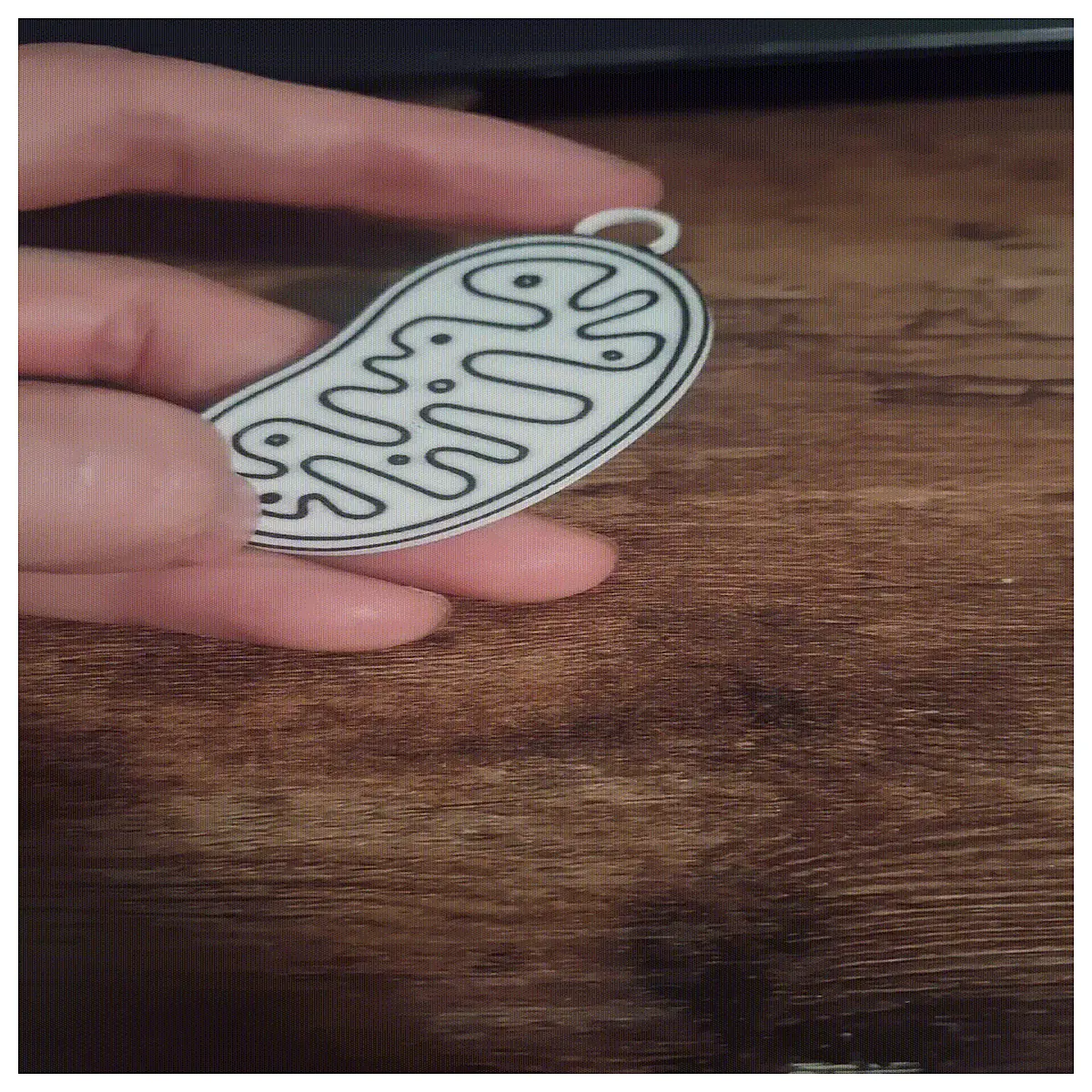 Mitochondria Keychain Cell Energy Decoration Gift Health Symbol Microscopic World Collectible Mitochondria Model