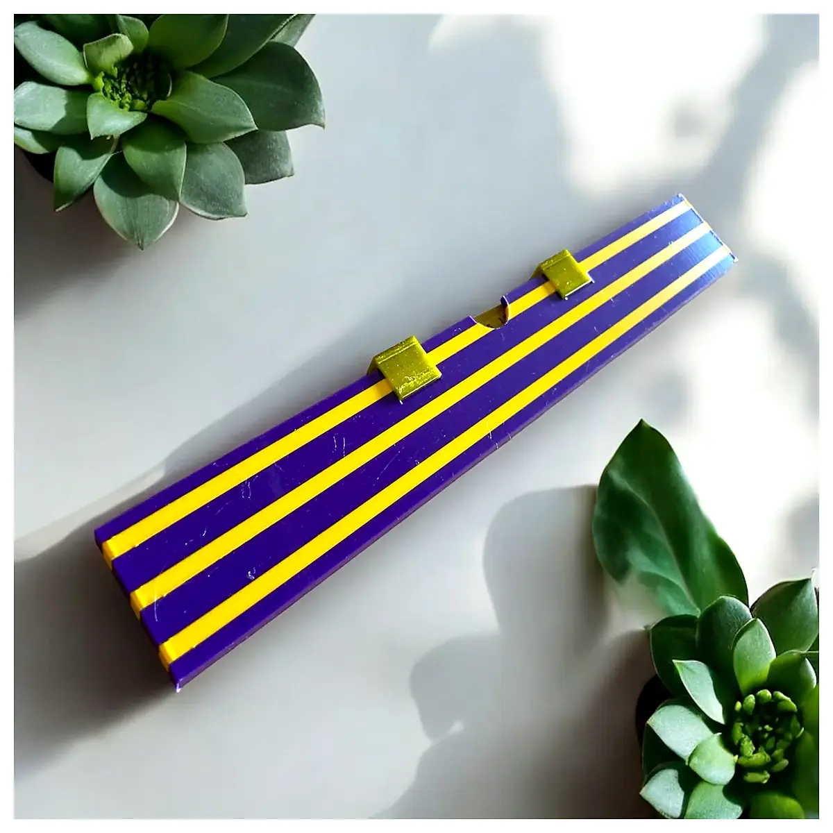 30cm Tape Measure Case Protector Tape Measure Storage Box Measuring Tape Case Tape Measure Protection Measuring Tool Box