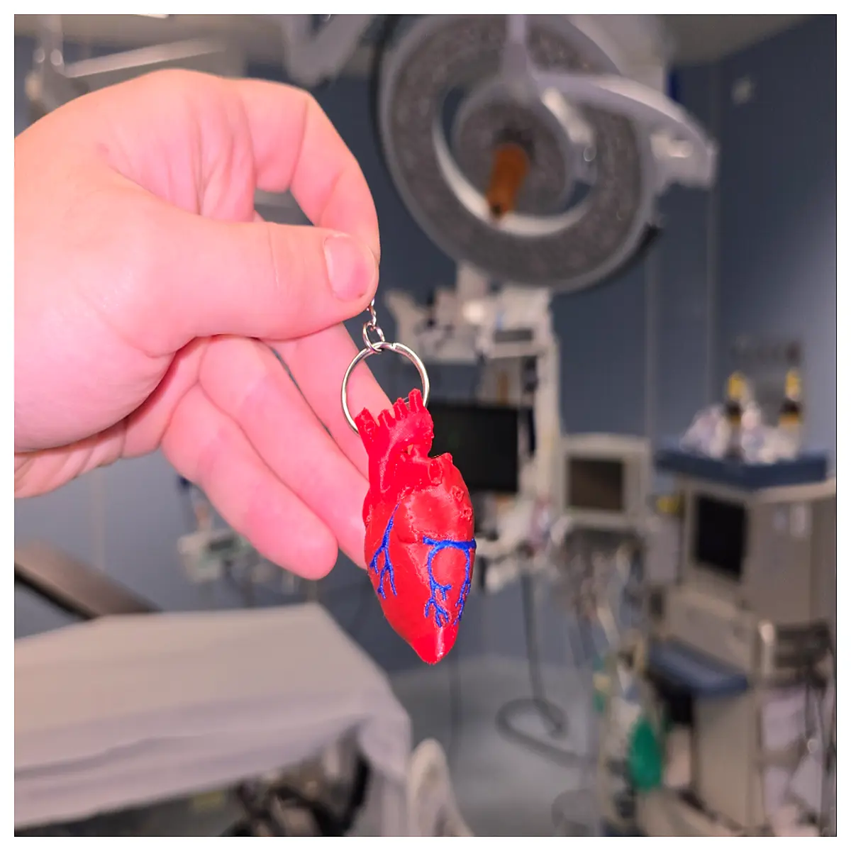 anatomical keychain realistic organ metal charm for medical students nurses gifts
