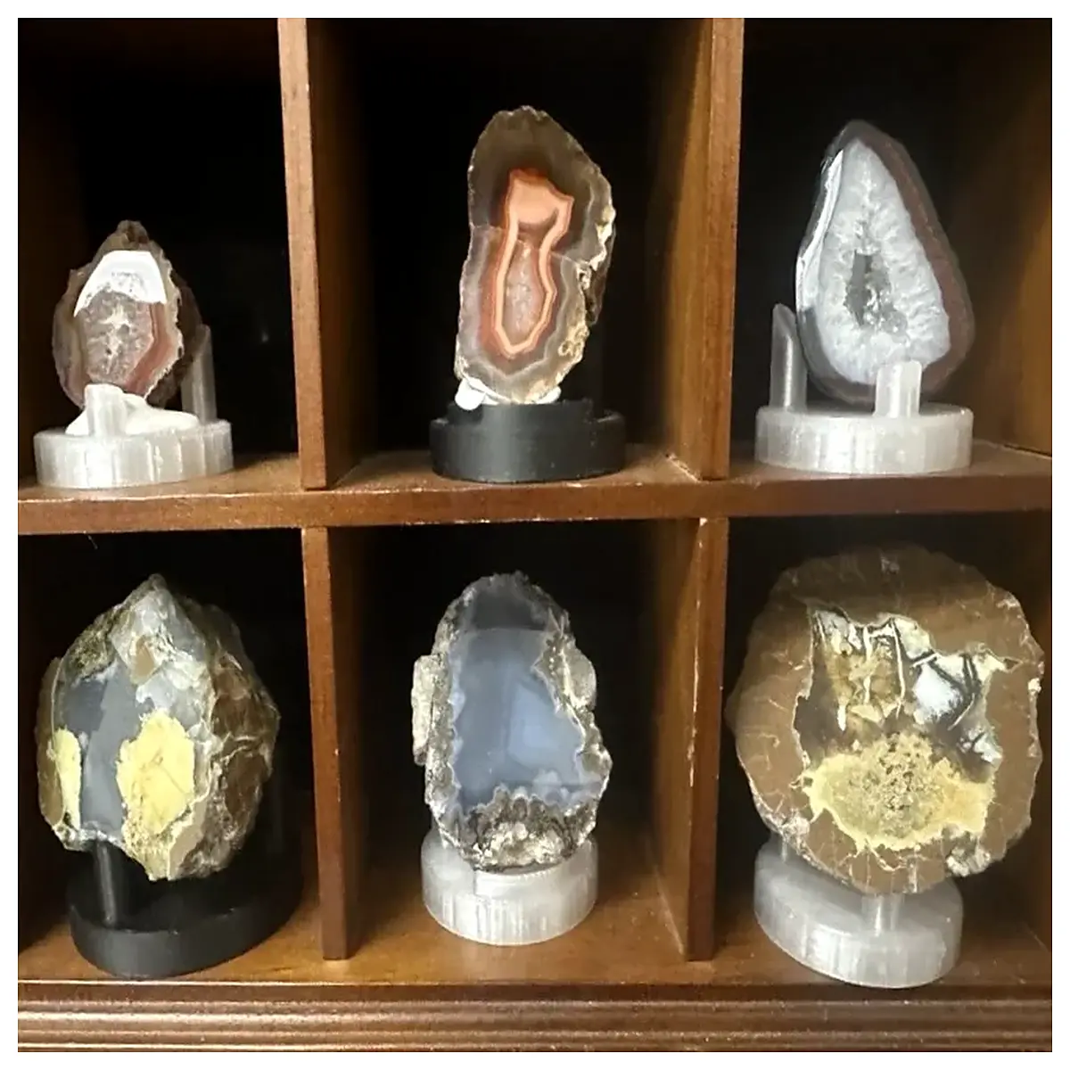round for rock and mineral specimens geology collection organizer