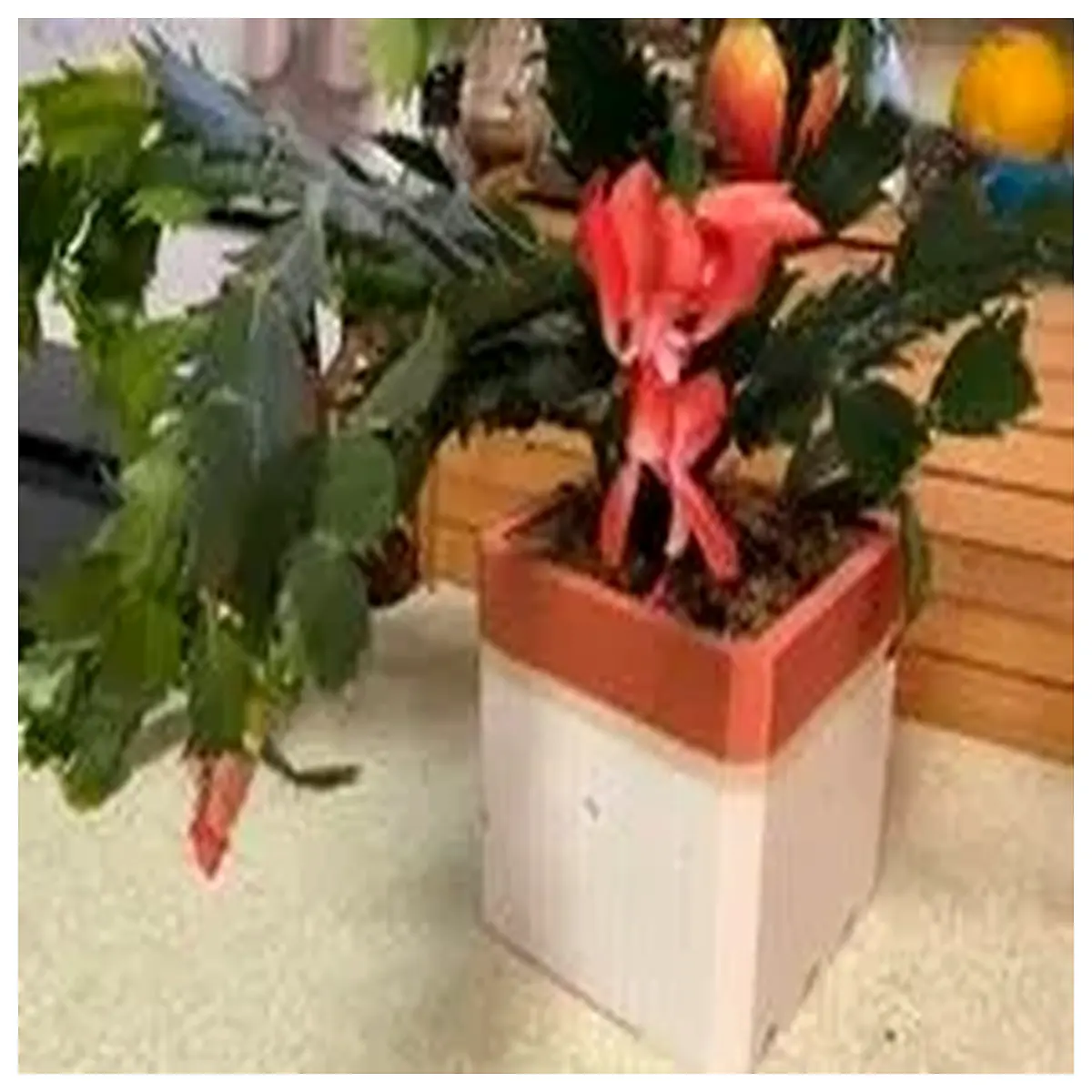 square ceramic planter pot modern geometric flower container indoor outdoor succulent cactus vase large small decorative garden box