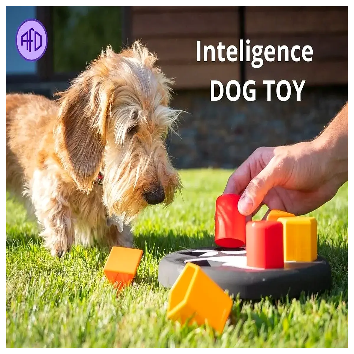 Smart Dog Toy Interactive Training Puzzle Toy Dog Learning Toy Pet Toys Brain Development
