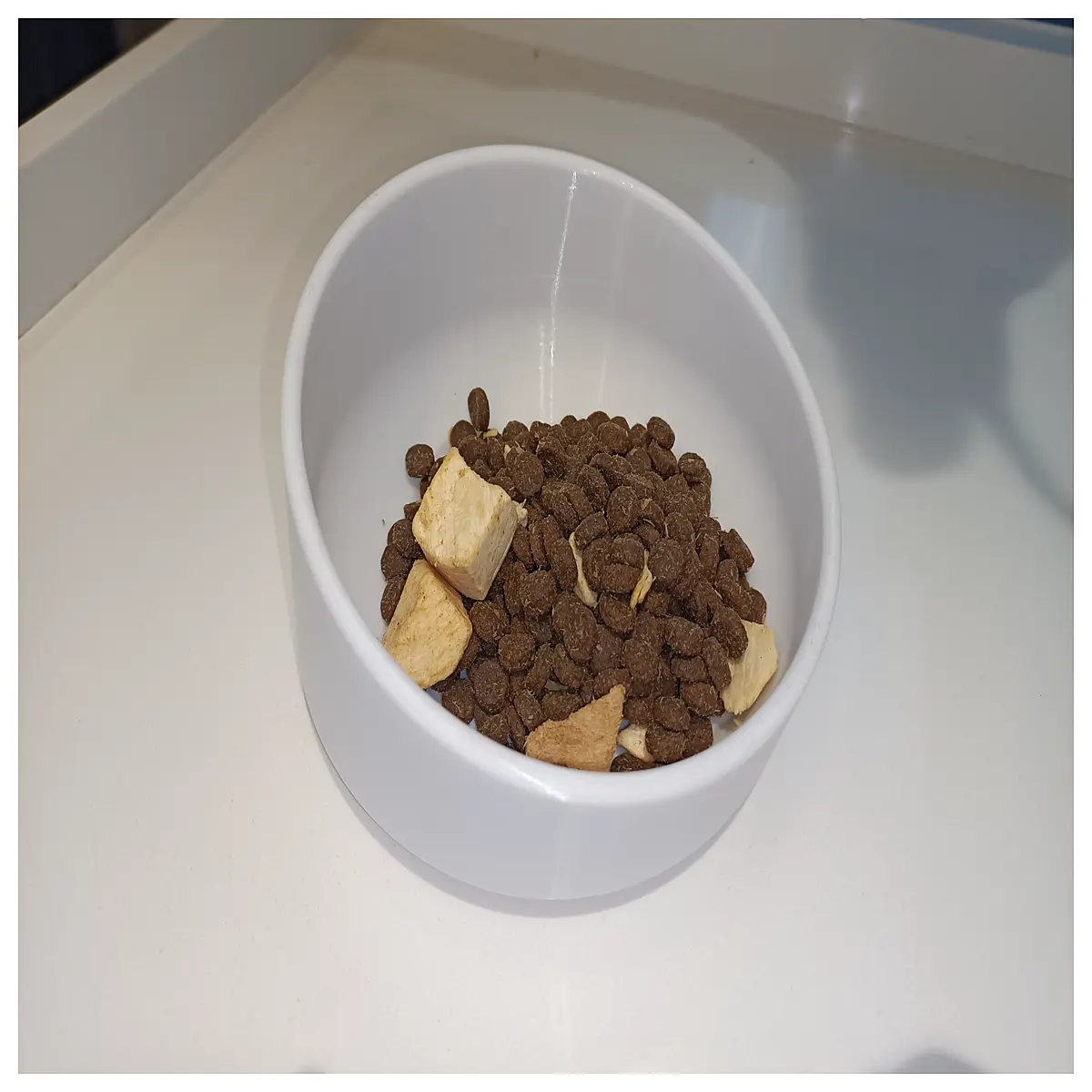 14 degree slanted anti spill dog bowl ergonomic neck support slow feeder pet food dish for cats and dogs