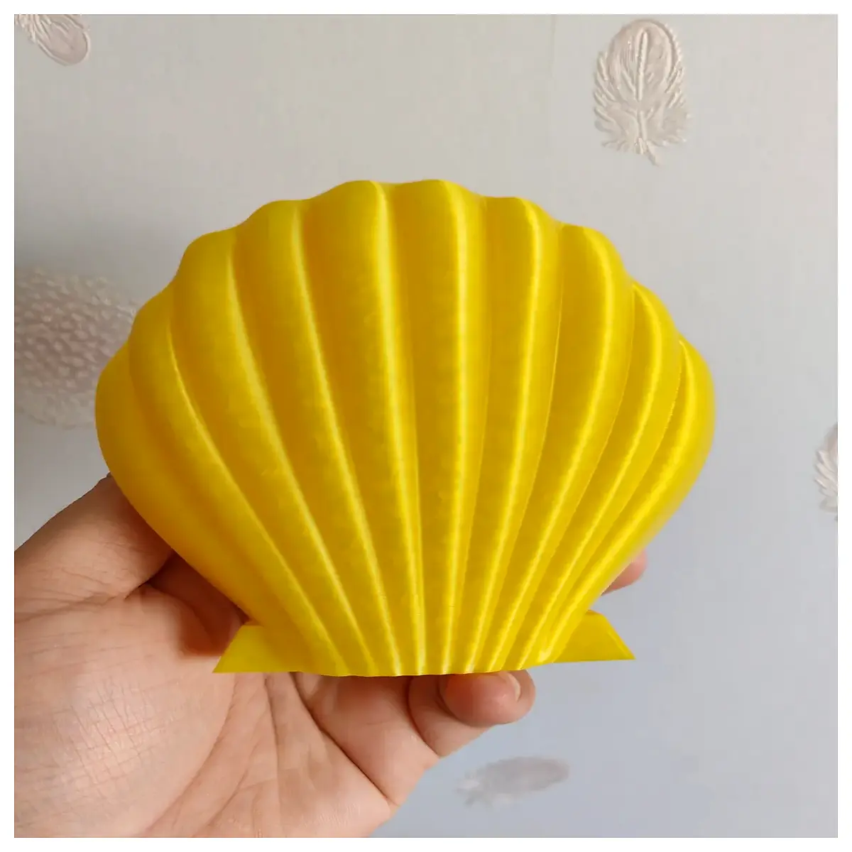 Whelk Shell Jewelry Box Shell Storage Box Jewelry Holder Decorative Box Gift Idea Shell Crafts Shell Collection Box