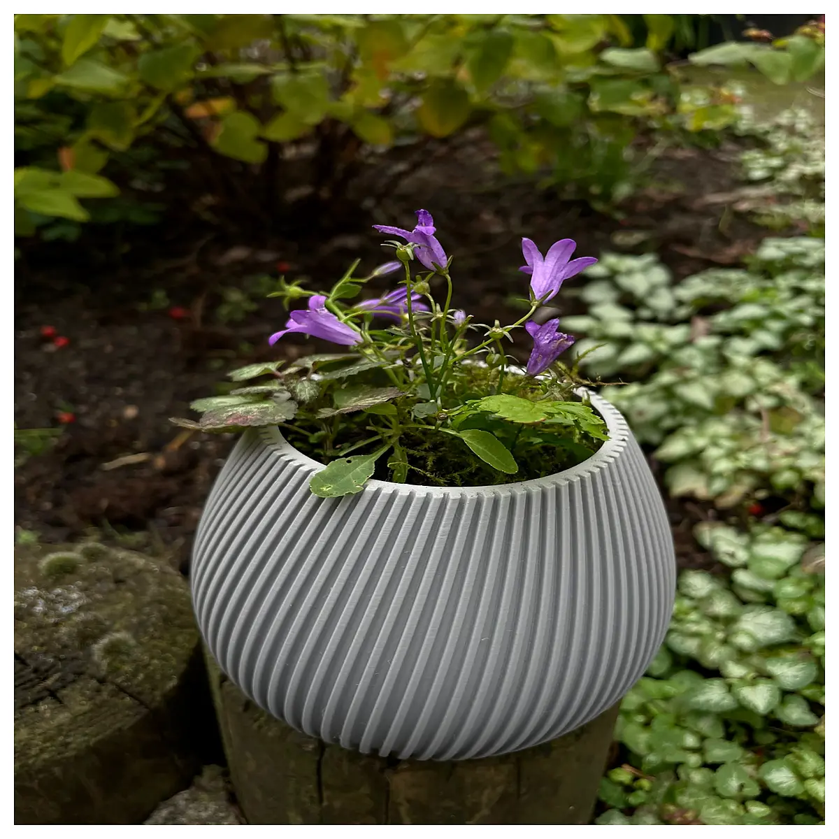 modern minimalist spiral ceramic planter pot for succulents indoor desk decor
