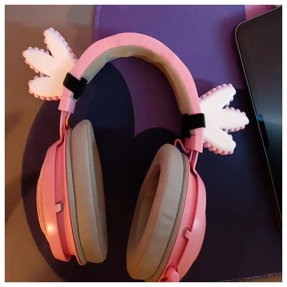 newt earphone accessories replacement tips silicone ear hooks cable organizer protective case