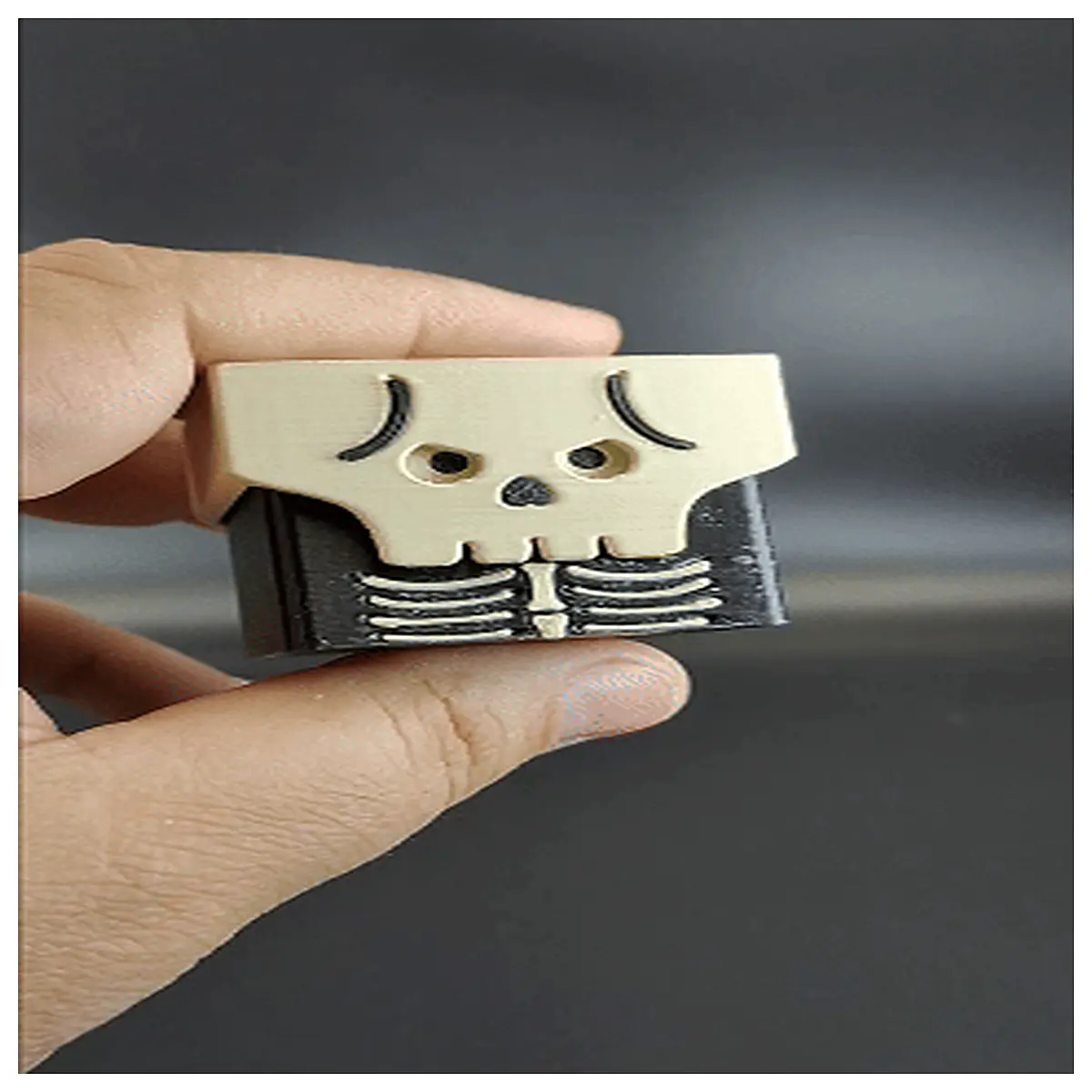 Chewing Toys Bone Bungebubu Pet Dog Gnawing Toy Training Tool Puppy Multi Function Bone Accessories