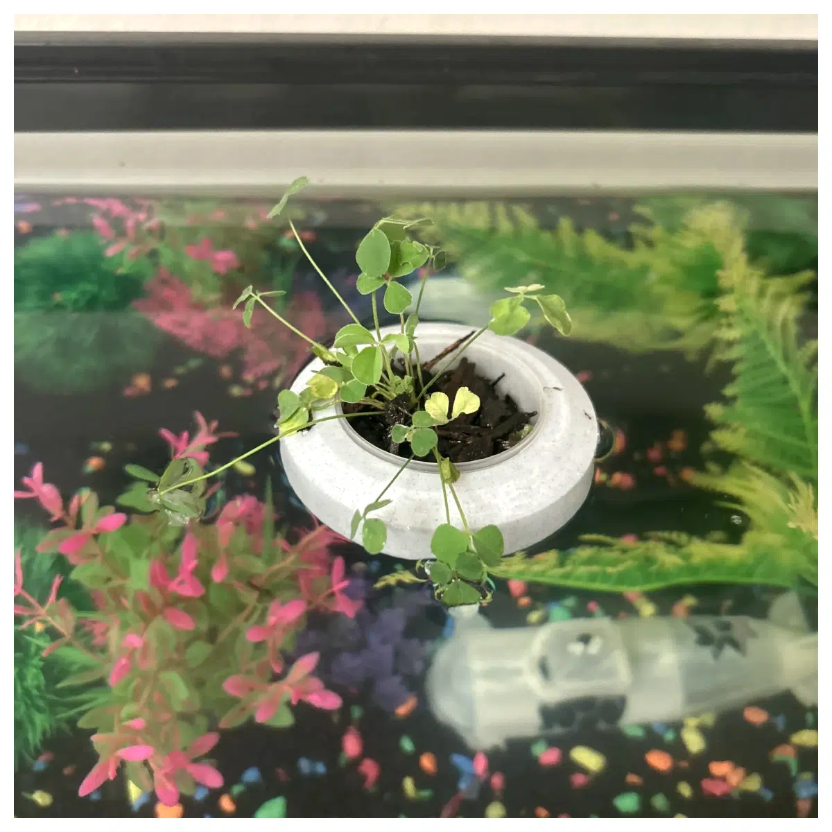 Aquarium Driftwood Floating Plant Pot Aquarium Decoration Substrate for Nitrifying Fish Tank Accessories Plant Pots