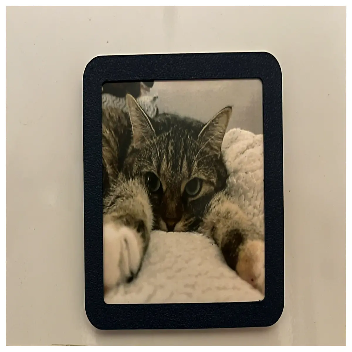 3 Inch Photo Frame Small Photo Wall Decor 76cm 3x3 Inch Frame Blank Photo Frame Minimalist Photo Frame Wall Decoration