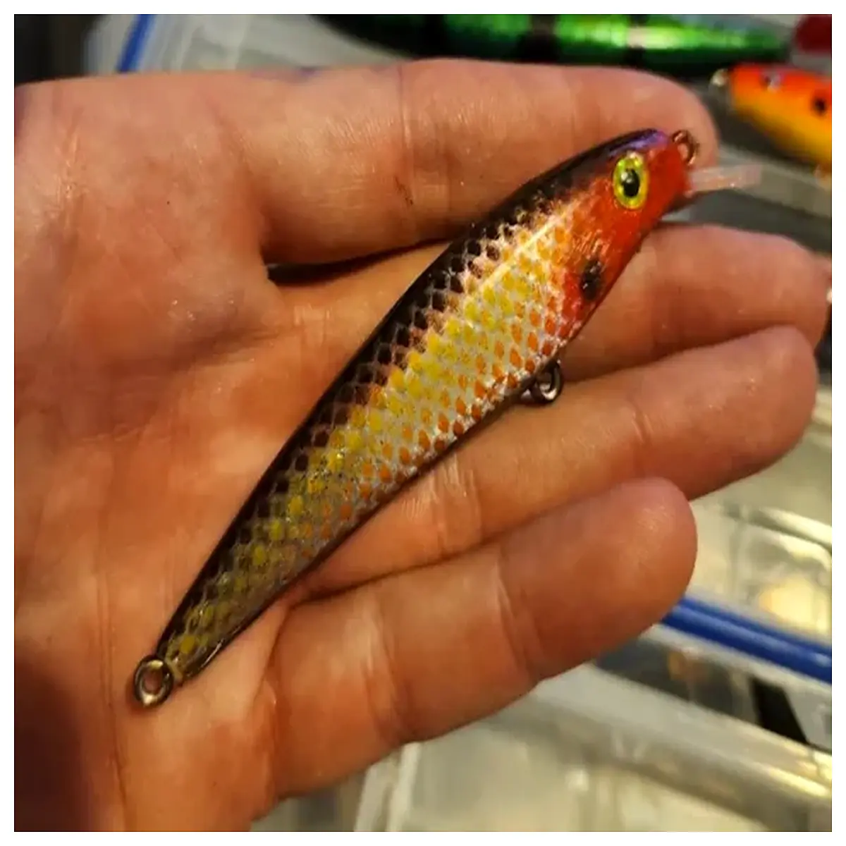 G 100 Fishing Bait Fish Attracting Bait Fishing Accessories Boost Catch Fish Lure Feeders Fishing Essential