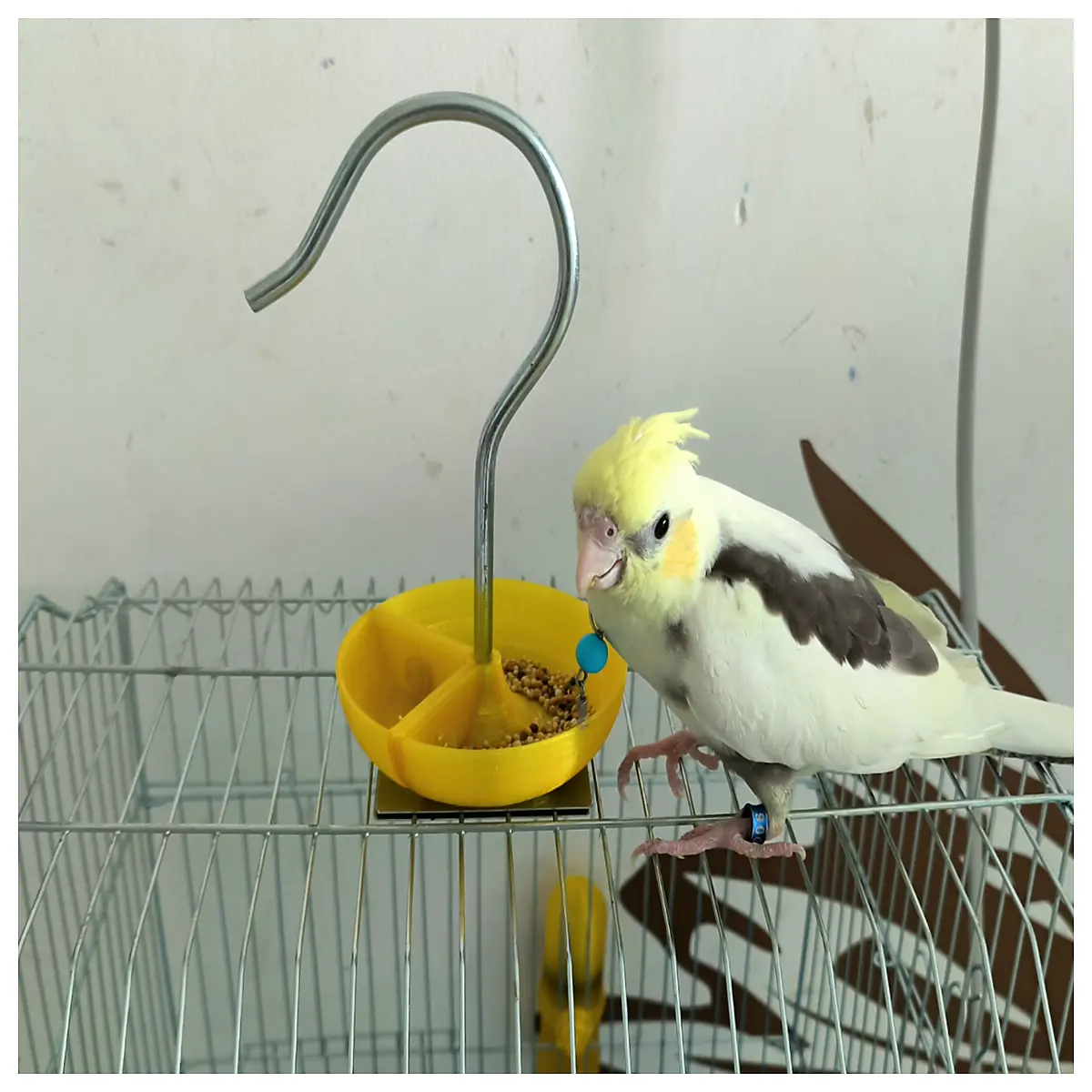 magnetic detachable bird cage top feeder tray for parrots finches canaries easy clean hanging food dish