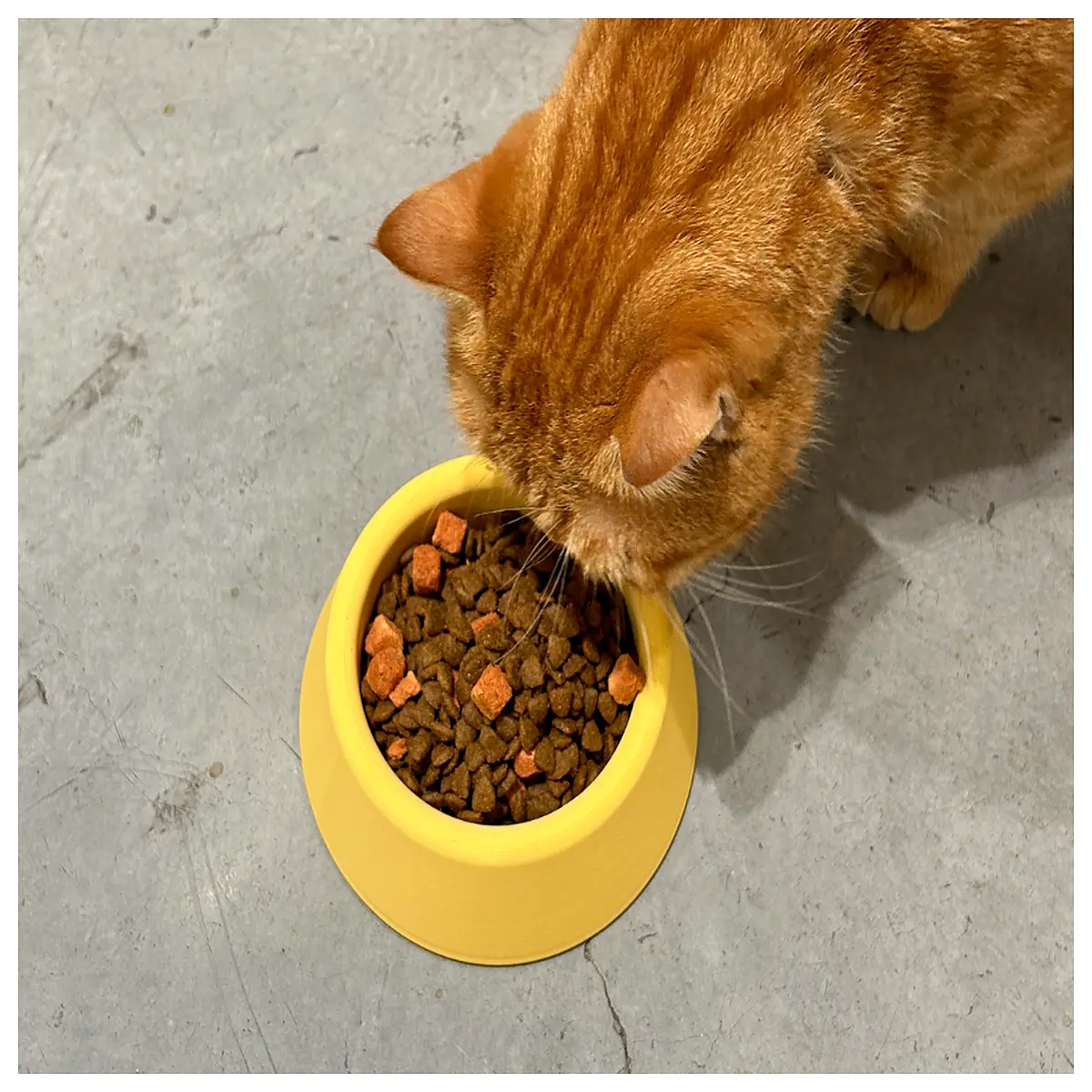 minimalist ceramic pet bowl set non slip food water dish for cats dogs slow feeder