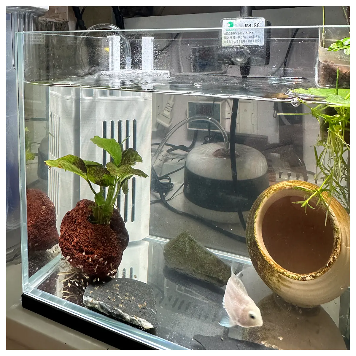 Aquarium Crab Decoration Triangular Corner Ornament Aquarium Plant Decoration Aquarium Landscape Accessory Crab Hideout