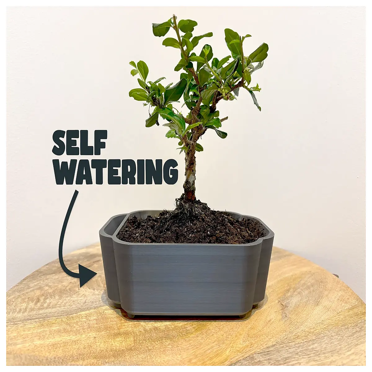 Self Watering Planter V3 Automatic Watering Pots Indoor Garden System Easy Plant Care Smart Watering Solution