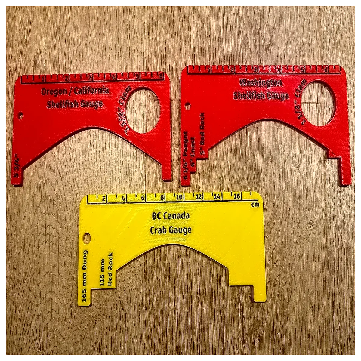 Dung Beetle Measurement Ruler Crab Claw Length Gauge Aquarium Crab Feeding Assessment Crab Tank Accessories
