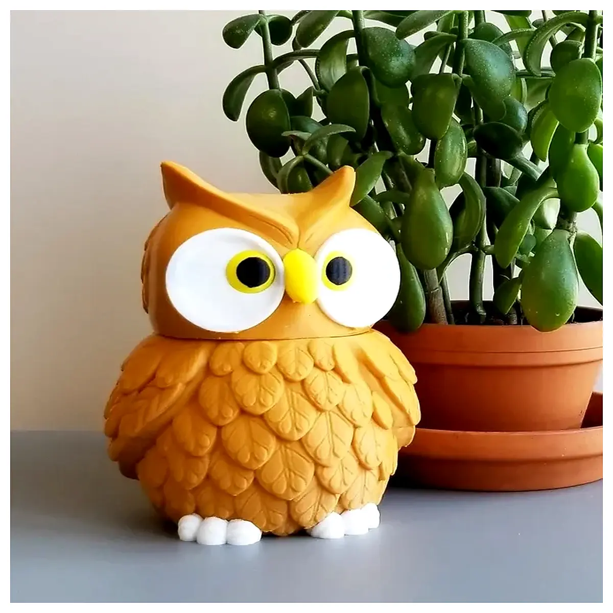 Multi ed Owl Food Bowl Bird Cage Accessories Parrot Toys Owl Feeder Bowl Pet Food