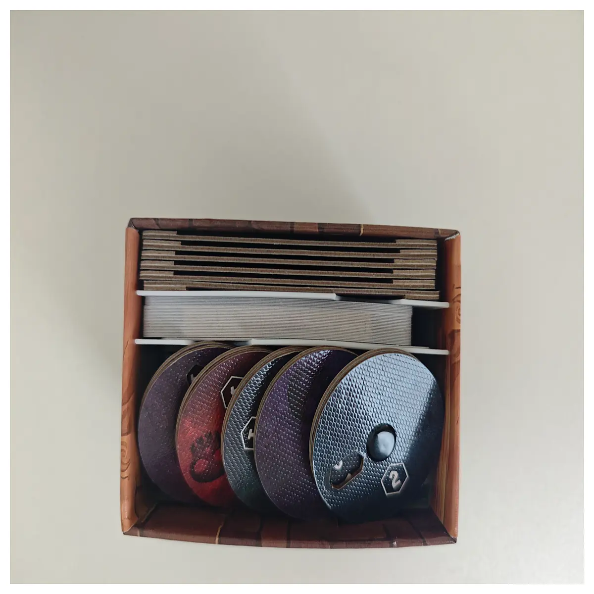 Button Storage Box Insect Observation Box Kids Educational Toys Insect Collection Box Fun Learning Tools