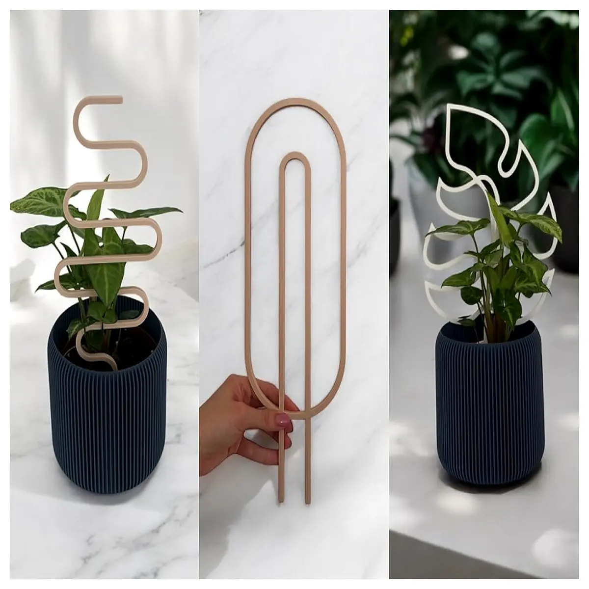 plant support stakes for indoor herbs garden climbing vines trellis