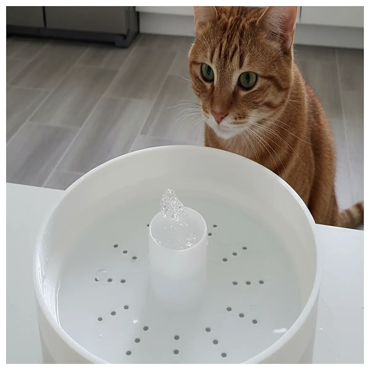 Pet Water Fountain Automatic Waterer Smart Drinker Pet Water Dispenser Accessories Ensure Pet Hydration