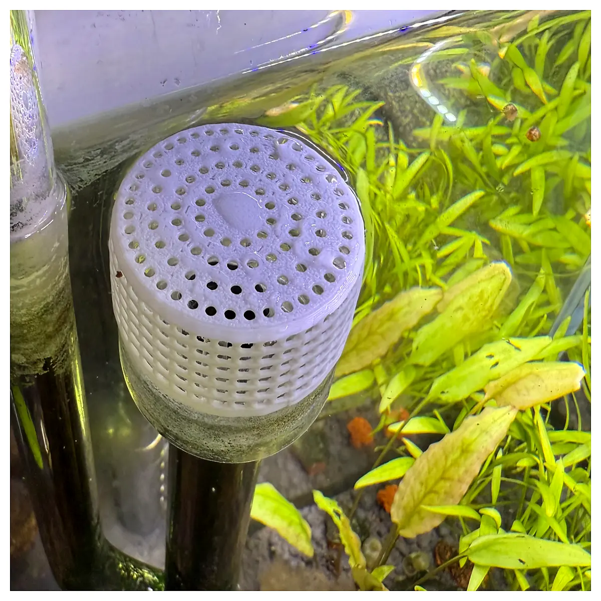 Aquarium Inlet Guard Fish from Water Intake Fish Tank Accessories Water Flow Shield