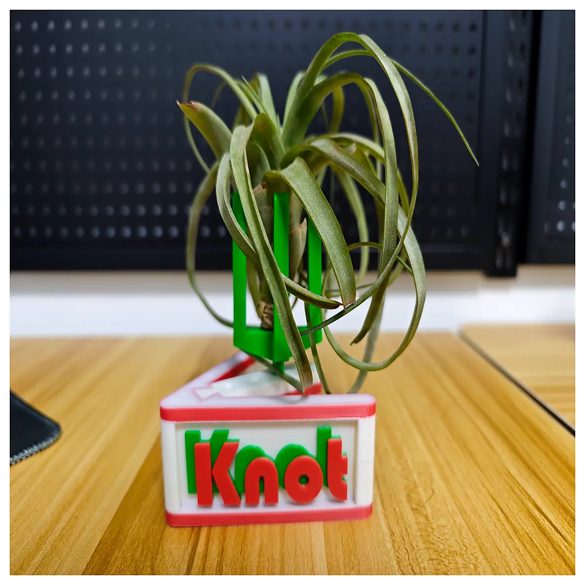 air plant holder for tillandsia ionantha desktop hanging ornament home decor