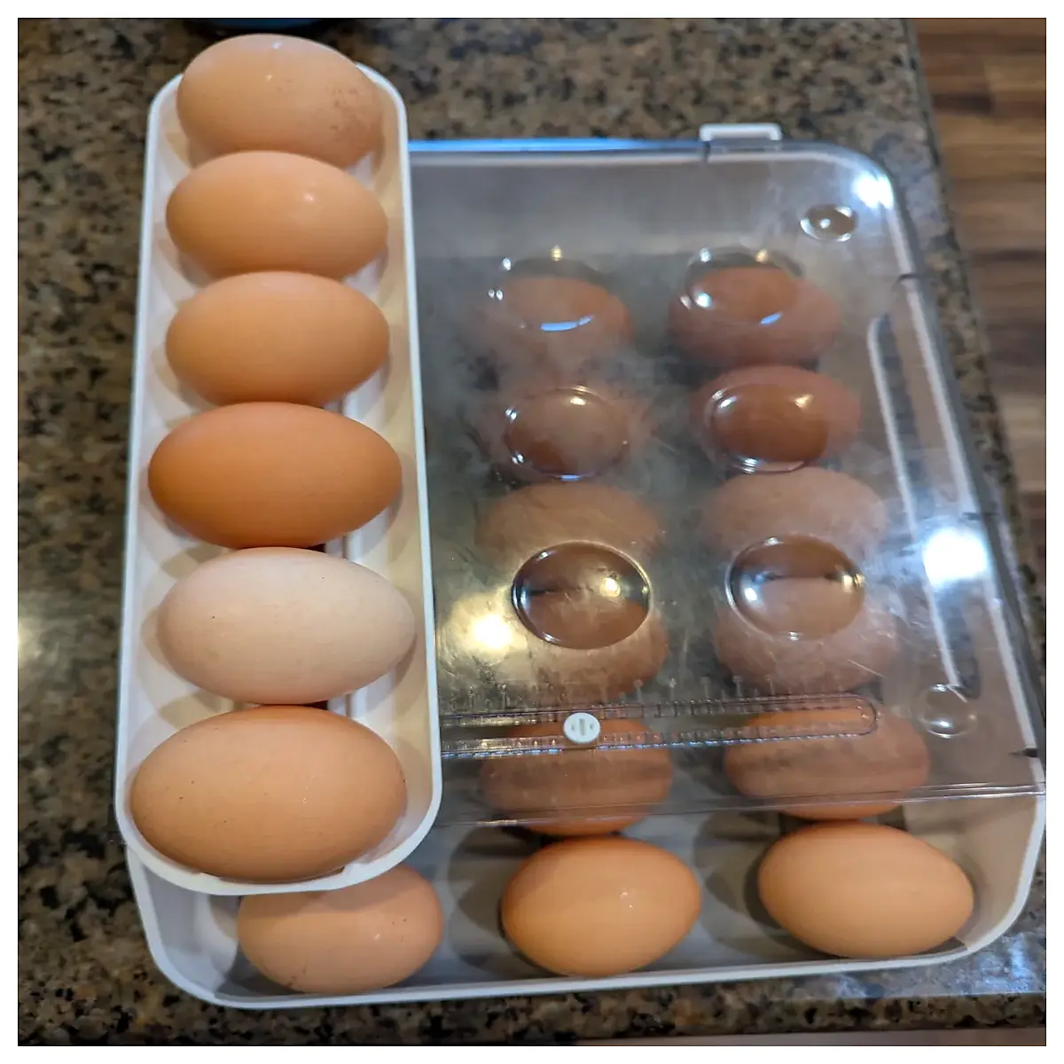kitchen egg holder tray organizer for fridge counter storage box with lid