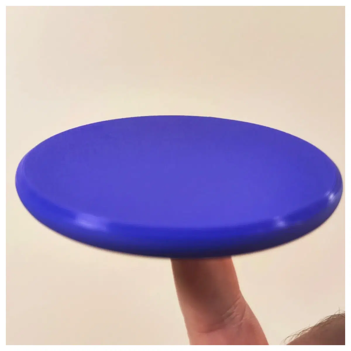 professional ultimate disc for adults outdoor training high flight stability durable plastic game