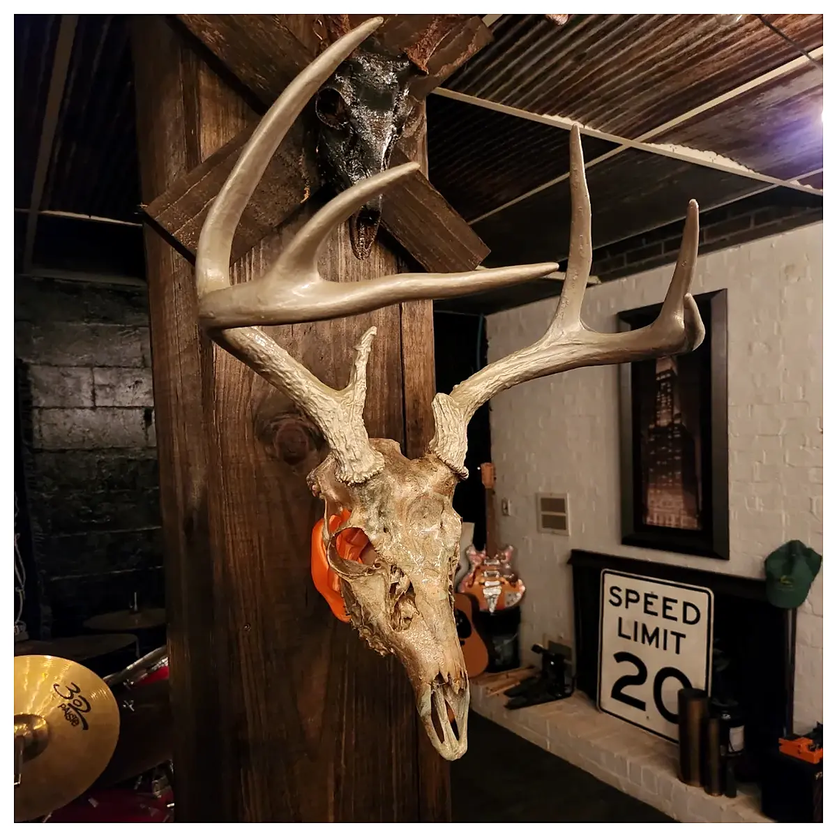 Skull Display Stand Wall Mount Bracket Skull Skeleton Decoration Collection Display Bone Model Holder Museum Exhibit