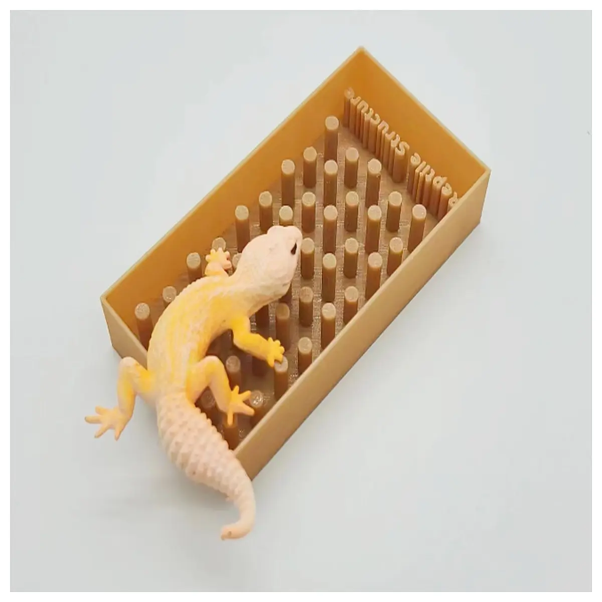 insect water dish anti drowning feeder for ants beetles roaches terrarium safe shallow bowl