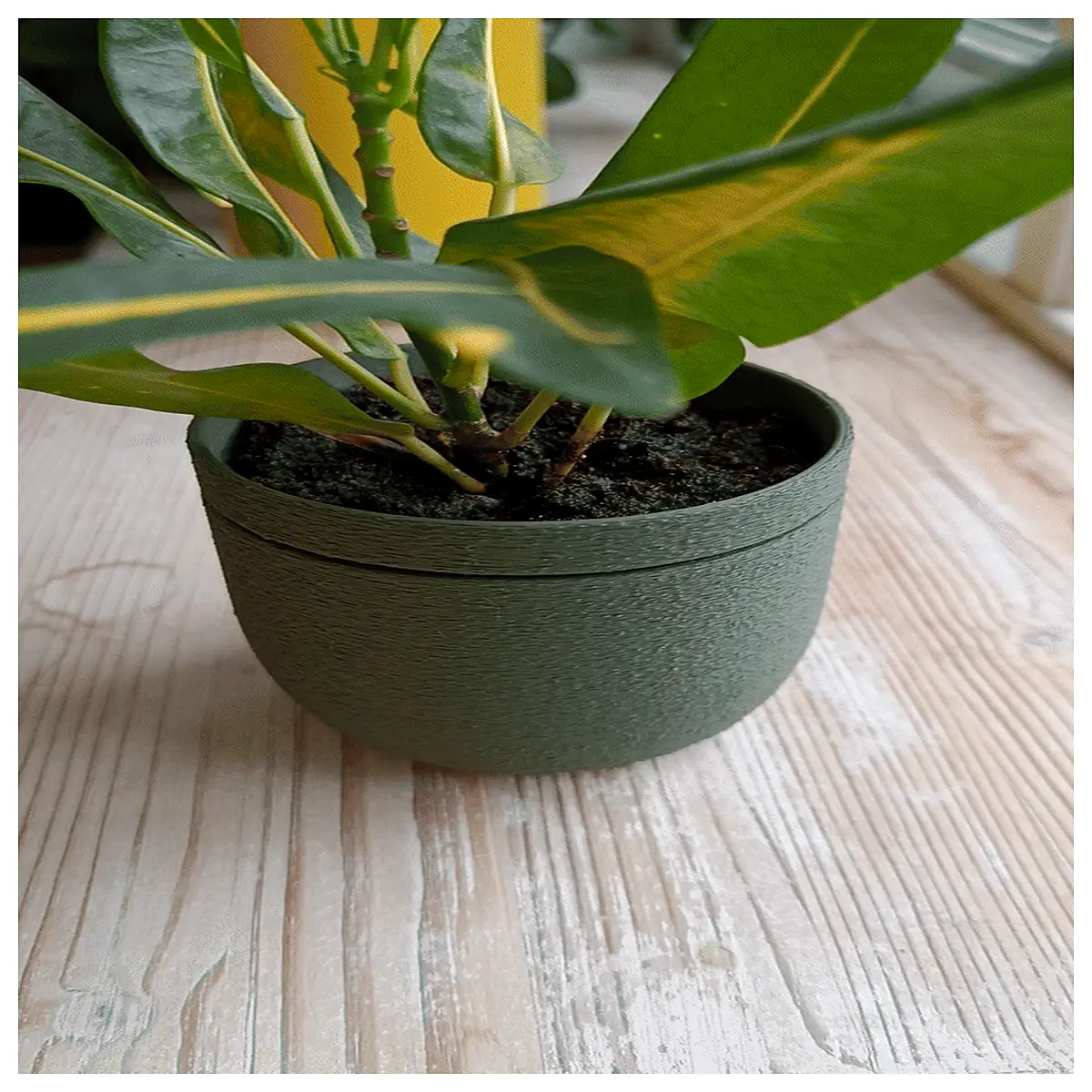 self watering planter pots with reservoir elegant design indoor outdoor garden decor 3 styles 4 sizes