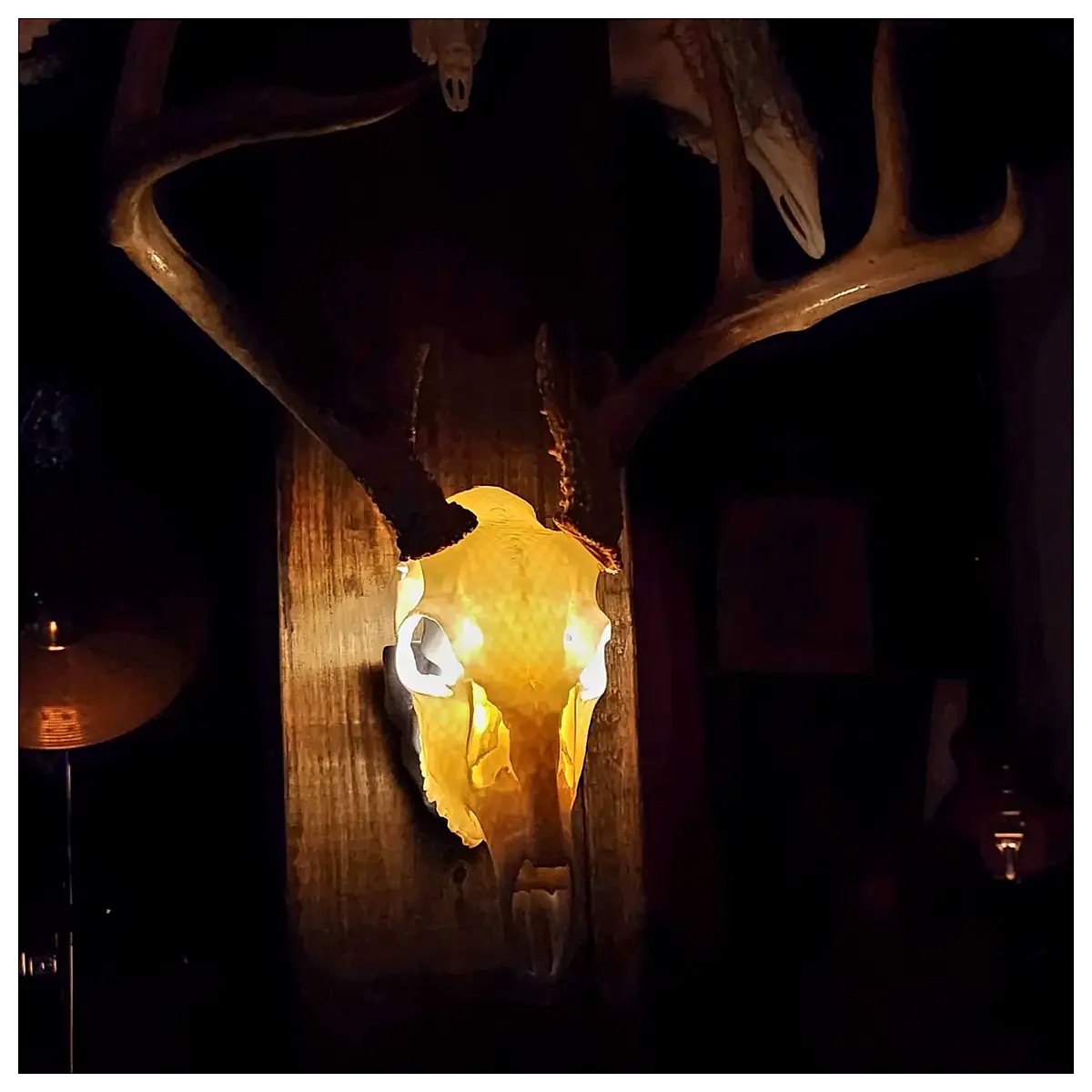 Deer Skull Wall Decor Hanging Bracket Lightweight Wall Mount Decoration Indoor Art Hanging Ornament Spiritual Decoration
