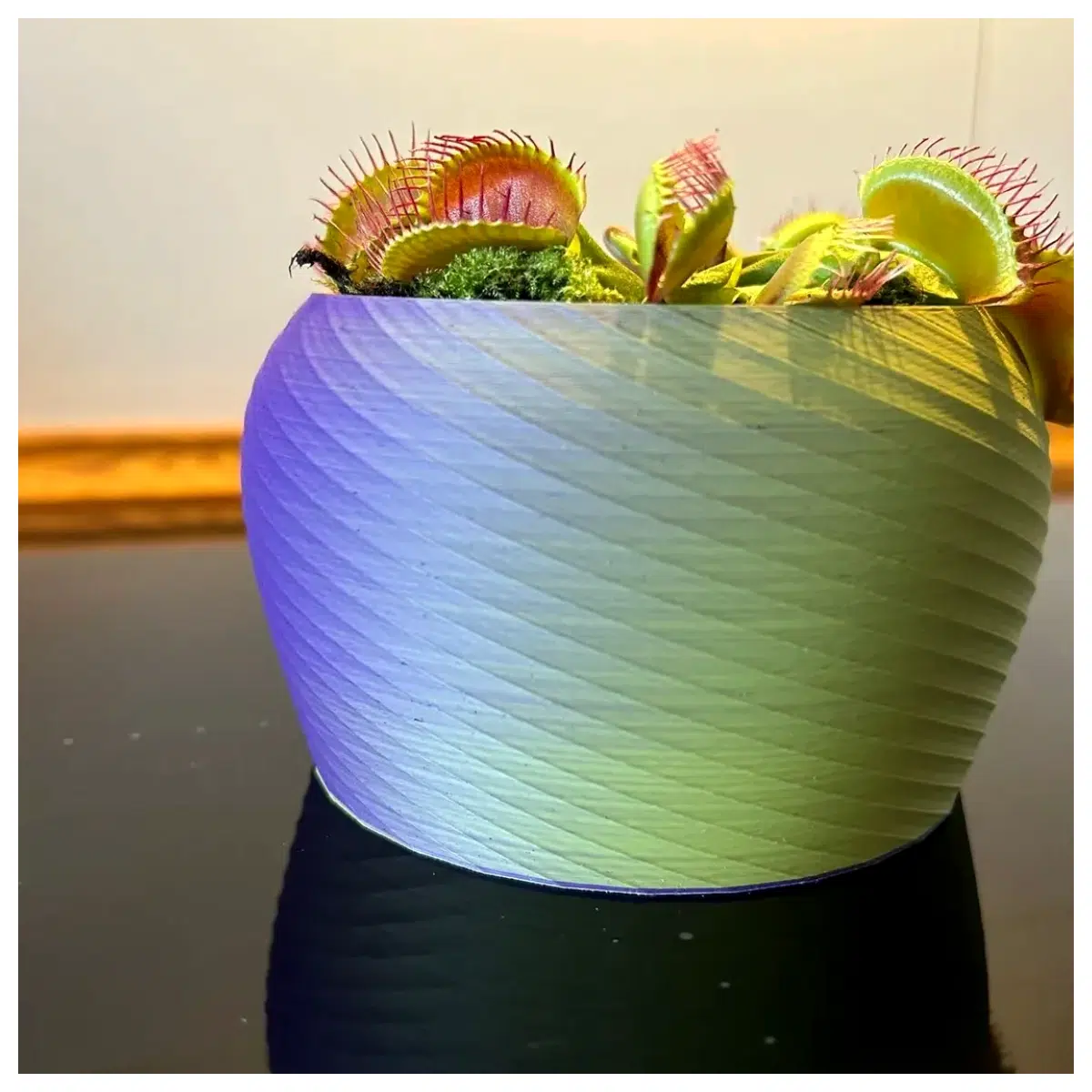 modern ceramic planter pot with drainage hole for indoor succulents cactus and small plants decorative flower pot