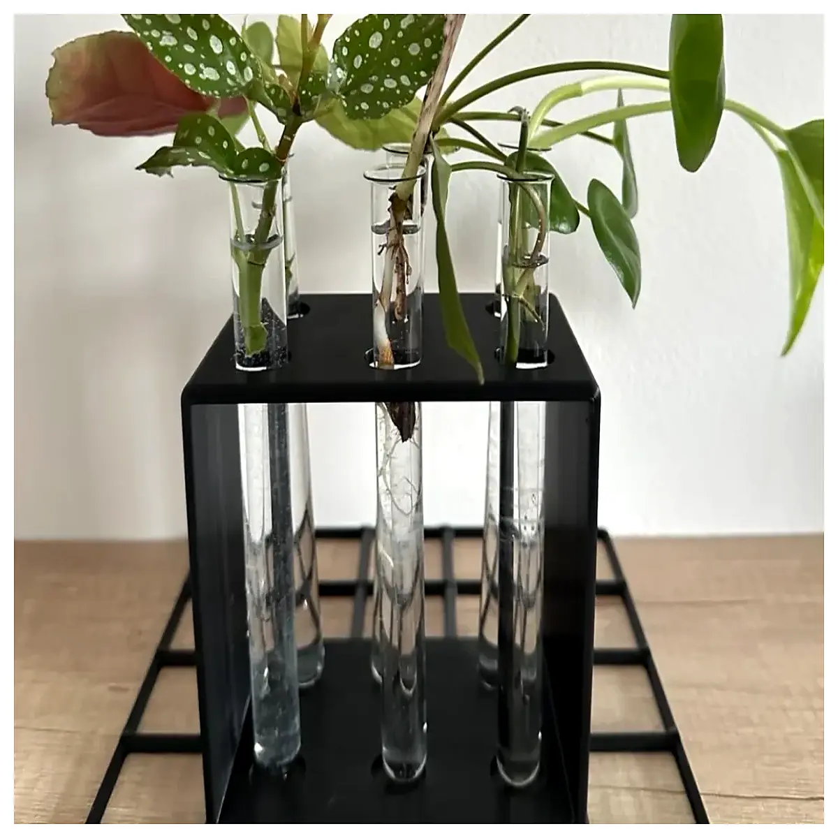 gridfinity modular storage bins for plant propagation clear test tube rack organizer lab supply container system
