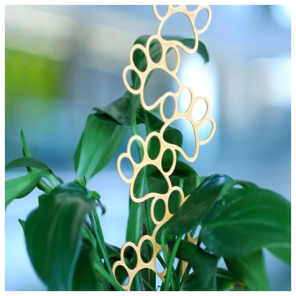Pet Paw Print Plant Stand Creative Wall Decor Dog Cat Footprint Holder Plant Pot Display Indoor Gardening Accessories