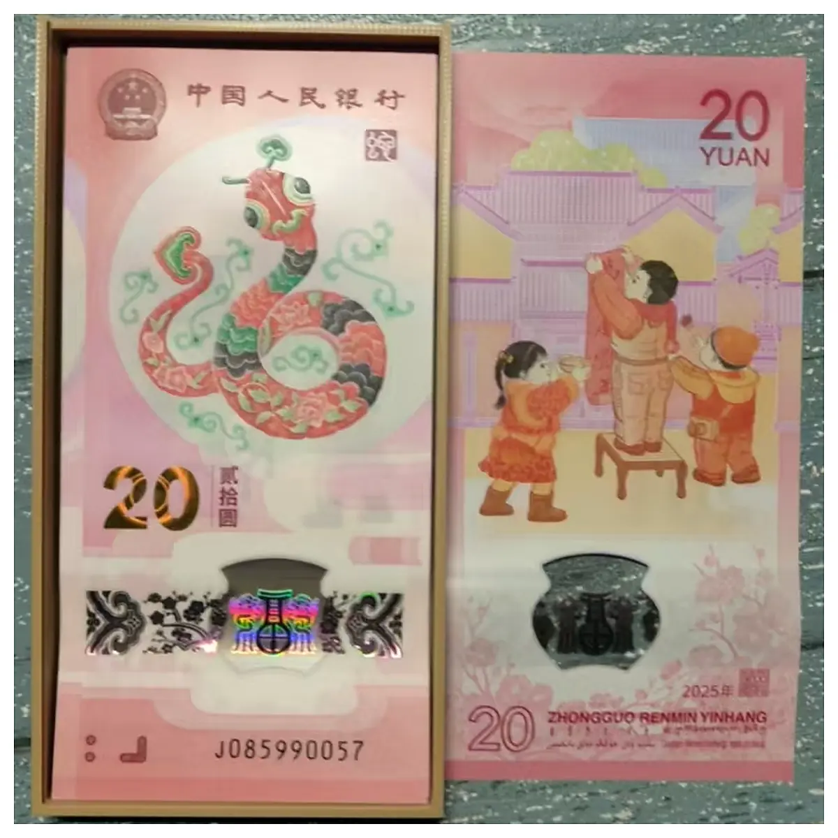 dragon snake year commemorative banknote protective case hard storage box anti yellowing coin collector album holder