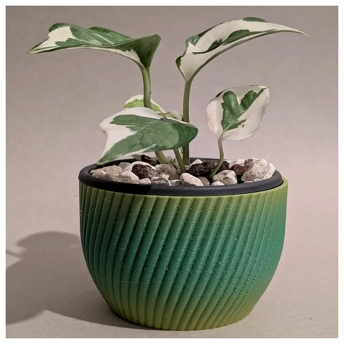 Succulent Planters 100x80mm Pots Miniature Garden Indoor Plants Desktop Decoration Succulent Containers