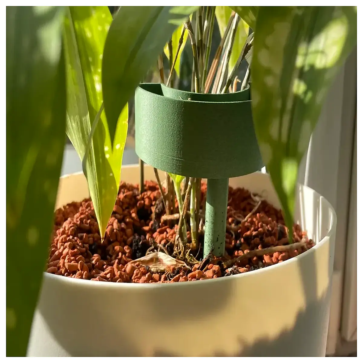 drip irrigation for garden plants with timer and hose