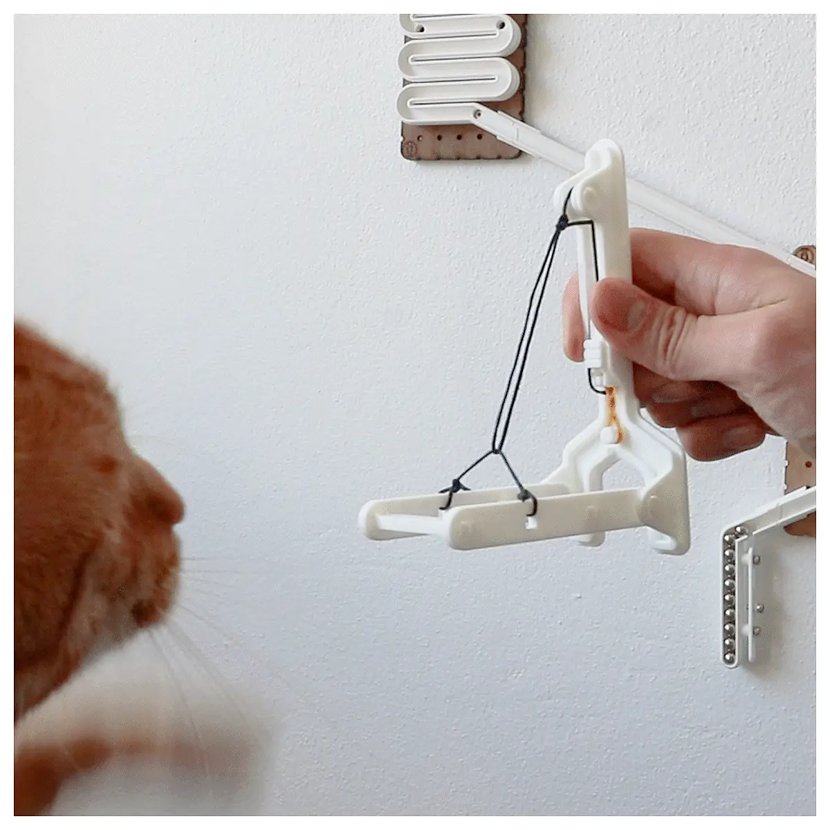 cat training clicker with wrist strap for positive reinforcement behavior modification